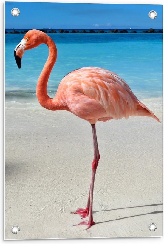 Tuinposter – Flamingo op Tropisch Strand - 40x60cm Foto op Tuinposter  (wanddecoratie voor buiten en binnen)