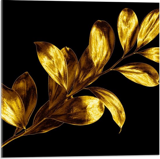 Acrylglas - Goud Blad op Zwarte Achtergrond - 50x50cm Foto op Acrylglas  (Met... | bol.com