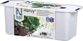 Harvy Grow Box Starters Pakket , kweekbak, moestuin hydrocultuur met salade, basilicum en voedingsmiddelen
