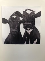 [Bosgraafcompany] [40x40 cm] [poster] [koeienposter] [Friese koeien] [koeien poster]