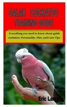 Galah Cockatoo Training Guide: Everything you need to know about galah cockatoo