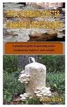 Tips on Growing Oyster Mushroom from Scratch