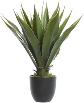 Groene Agave kunstplanten in zwarte pot 55 cm - Kunstplanten/nepplanten - Kamerplanten/planten in pot