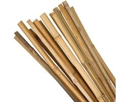 Bamboe stok | Tonkinstok | Bonenstaken | Klim- en Geleide Artikel | Bamboestok | Bamboestokken | Stokken | 90 cm | 25 Stuks