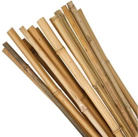 Bamboe stok | Tonkinstok | Bonenstaken | Klim- en Geleide Artikel |  Bamboestok |... | bol.com