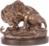 Bronzen beeld - Leeuw en slang in gevecht - Dierenrijk - 24 cm hoog
