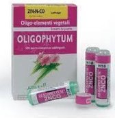 Holistica Oligophytum Zinc-niquel-cobalt 100 Granulos