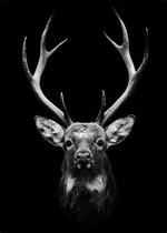 Poster Dark Deer - Dibond - Meerdere Afmetingen & Prijzen | Wanddecoratie - Interieur - Art - Wonen - Schilderij - Kunst