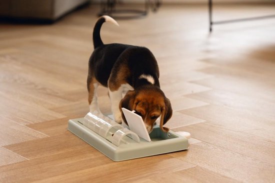 Beeztees Puppy Training Game Riff - Jouet pour chien - Vert - 35x21.5x7