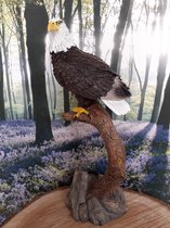 Adelaar beeld adelaar op een tak van Geharo 25x11x9 cm