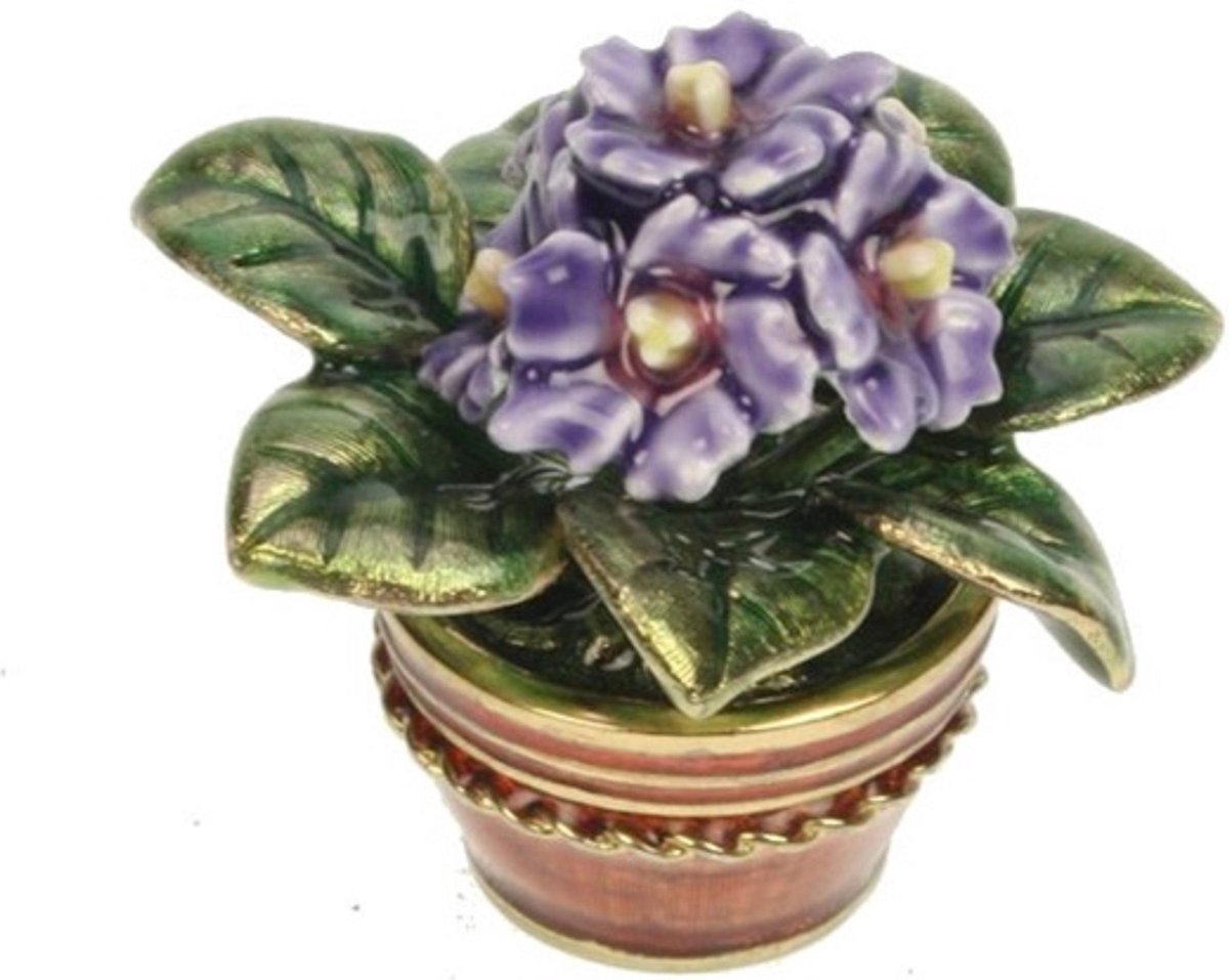Doosje Plant in pot Ø4x4,5cm h