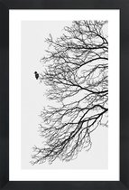 JUNIQE - Poster in houten lijst Winter Bird -40x60 /Grijs & Wit