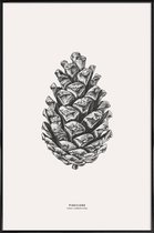 JUNIQE - Poster met kunststof lijst Pinecone -13x18 /Grijs & Ivoor