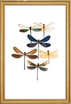 JUNIQE - Poster met houten lijst Libellen -30x45 /Blauw & Bruin