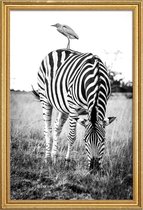 JUNIQE - Poster met houten lijst Zebra and Friend -13x18 /Wit & Zwart