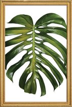 JUNIQE - Poster met houten lijst Monstera foto -60x90 /Groen & Wit