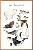 JUNIQE - Poster met kunststof lijst Pooldieren illustratie -20x30