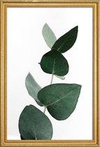 JUNIQE - Poster met houten lijst Eucalyptus 4 -13x18 /Groen