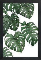 JUNIQE - Poster met houten lijst Monstera plant -13x18 /Groen & Wit