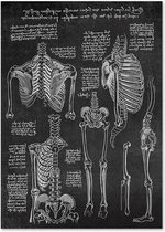 Anatomy Poster Skeleton Black - 50x70cm Canvas - Multi-color