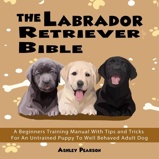 The Labrador Retriever Bible - A Beginners Training Manual W ... - cover