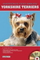 Yorkshire Terriers