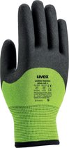 Uvex Unilite Thermo Plus Cut C Handschoen maat 9