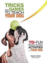 Tricks and Games to Teach Your Dog