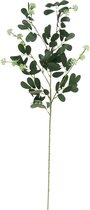 Gerimport Kunstboeket Vara Jujube Vruchten 82 X 16 Cm Groen