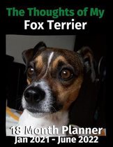 The Thoughts of My Fox Terrier