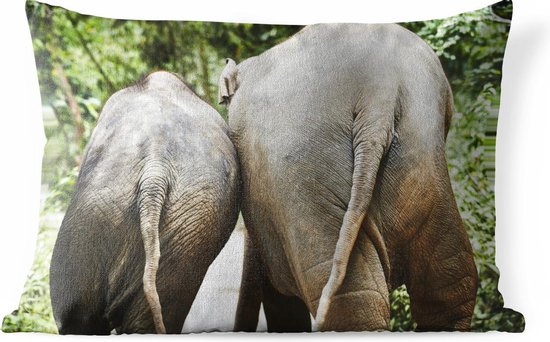 Coussins d'extérieur - Jardin - Deux éléphants marchent dans la forêt - 60x40 cm