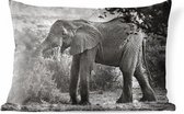 Coussins d'extérieur - Jardin - Profil d'éléphant en noir et blanc - 60x40 cm