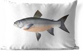 Buitenkussens - Tuin - Haring vis op een witte achtergrond - 50x30 cm