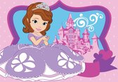 Disney Vloerkleed Sofia Castle - 95x133cm