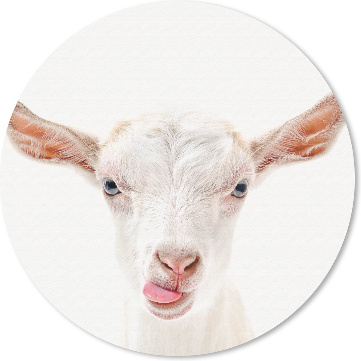 Muismat Animalprintshop - Geit - Portret dierenprint Muismat rond - 30x30 cm - Muismat met foto