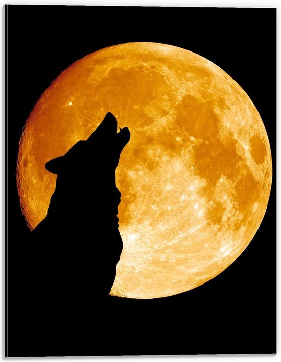 Dibond - Silhouette van Wolf bij Maan - 30x40cm Foto op Aluminium (Met Ophangsysteem)