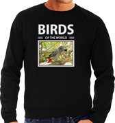 Dieren foto sweater Grijze roodstaart papegaai - zwart - heren - birds of the world - cadeau trui Papegaaien liefhebber S