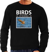 Dieren foto sweater Zeearend - zwart - heren - birds of the world - cadeau trui roofvogel liefhebber S