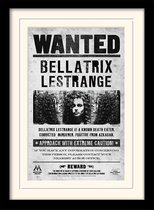 Harry Potter - Mounted & Framed 30X40 Print - Bellatrix Wanted