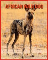 African wild dog