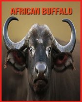 African Buffalo