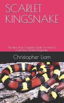 Scarlet Kingsnake
