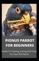 Pionus Parrot for Beginners