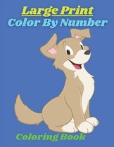 Large Print Color By Number Coloring Book