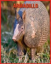 Armadillo