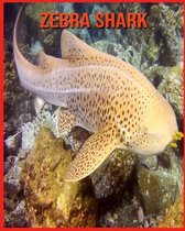 Zebra Shark