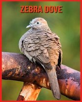 Zebra Dove