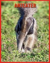 Anteater
