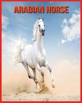 Arabian Horse