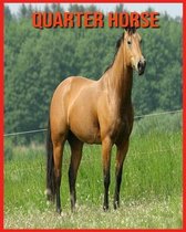 Quarter Horse